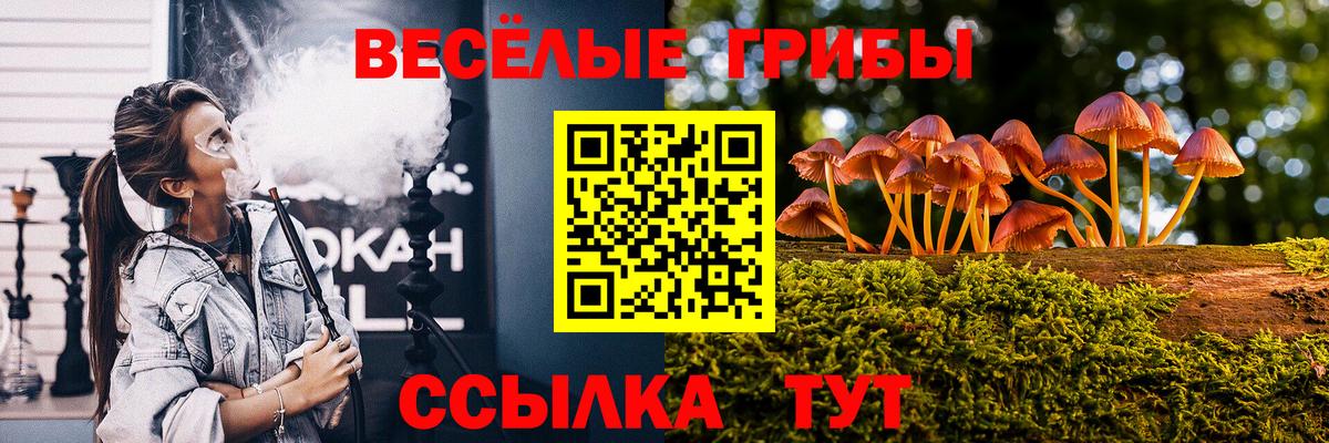 Псилоцибиновые грибы Psilocybe Малоярославец